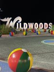 Wiildwood Beach Balls